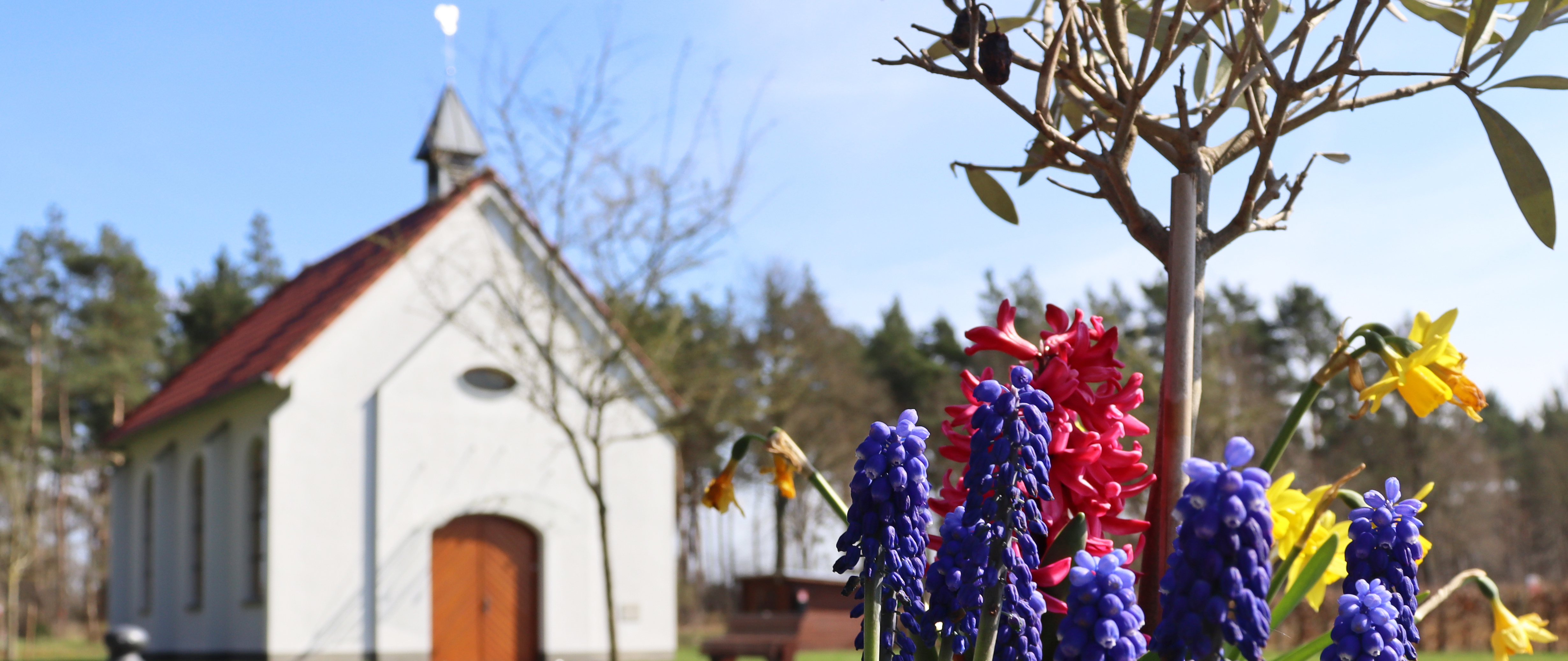 Die Wirtschaft muss brummen. Nicht der Kopf.